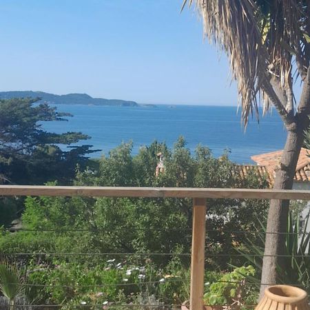 F3 Rdc Villa Vue Mer 180 Face A La Pointe De Giens Carqueiranne Zewnętrze zdjęcie